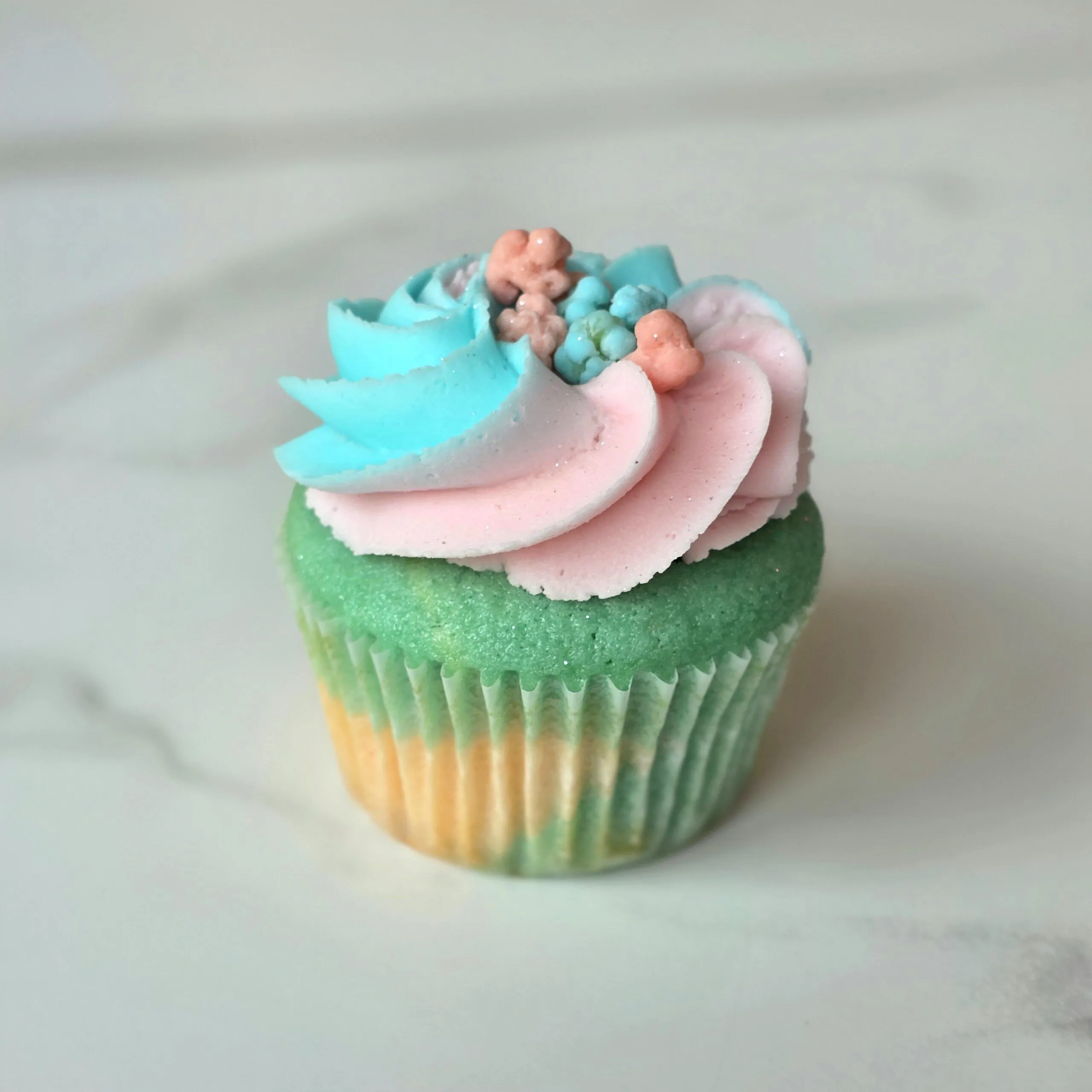 Cotton Candy Photo - Standard - Website - Updated
