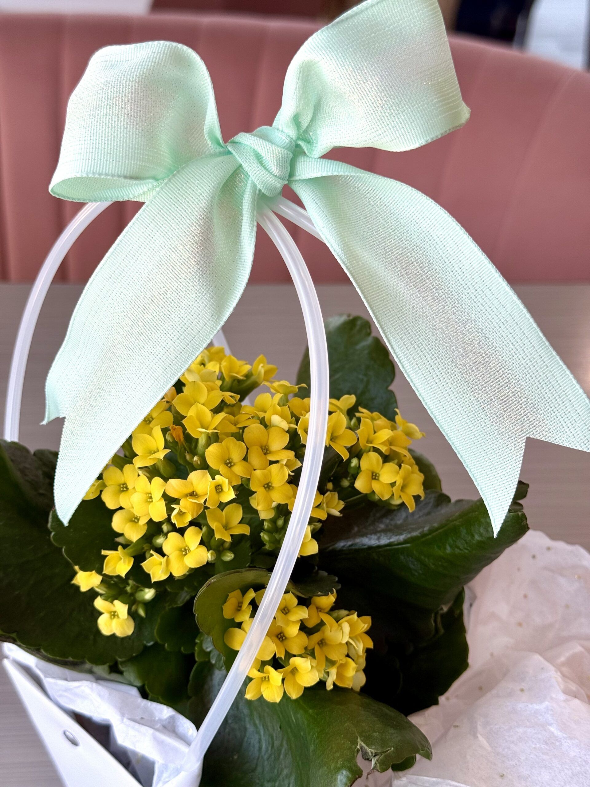 Flower Basket 2