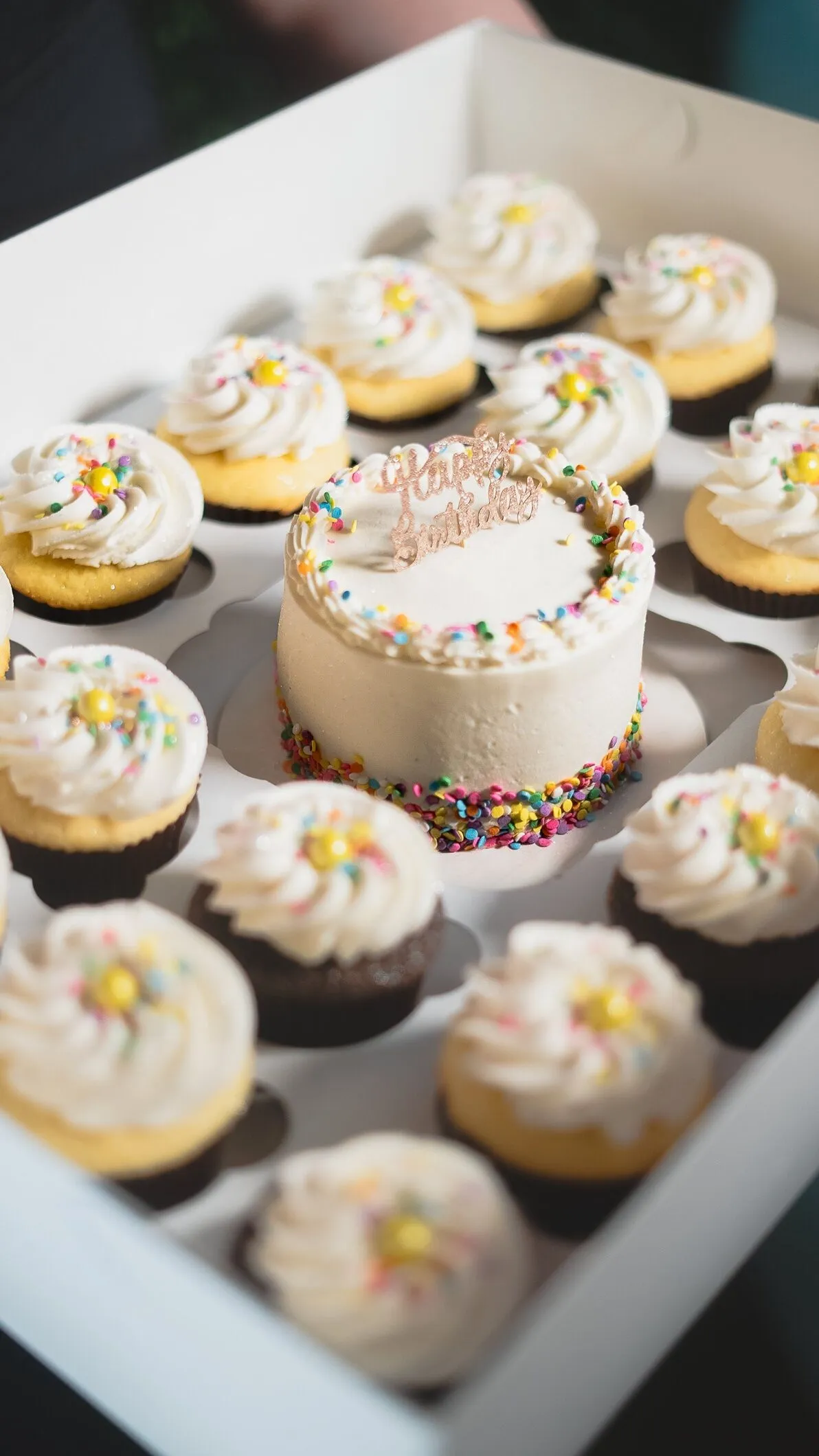 Birthday Cake and Cupcake Box