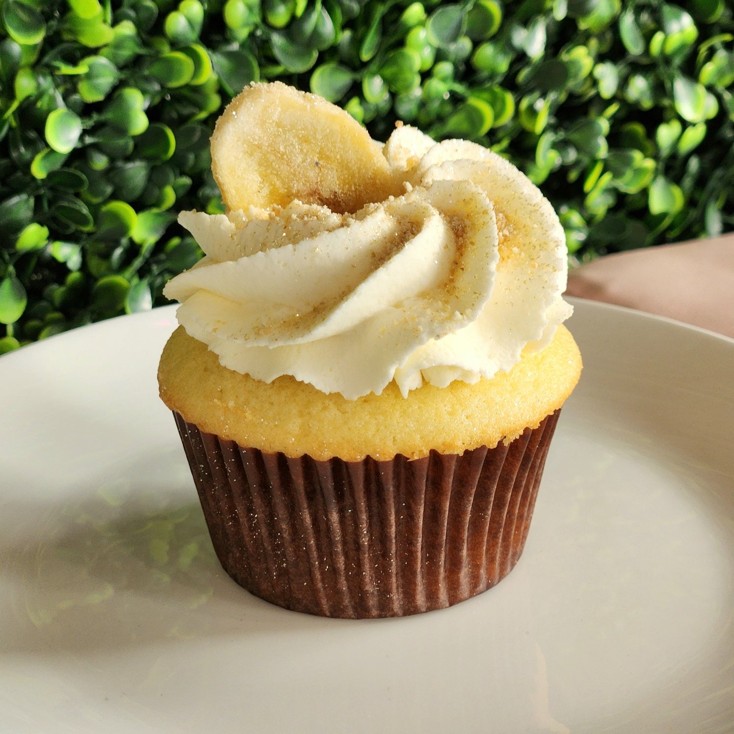 Banana Cream Pie - Standard