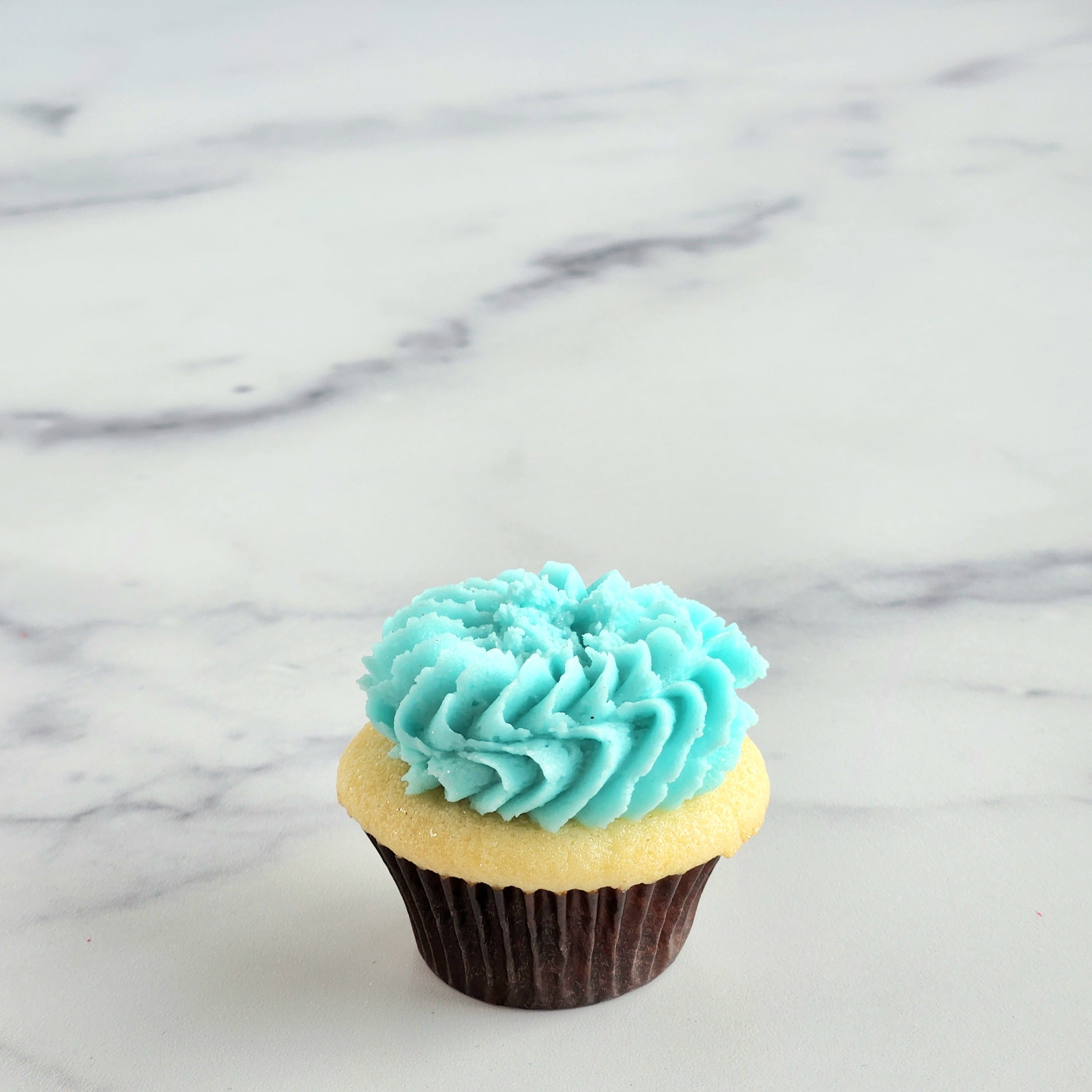 Pleasantville Mini | Oh My Cupcakes!