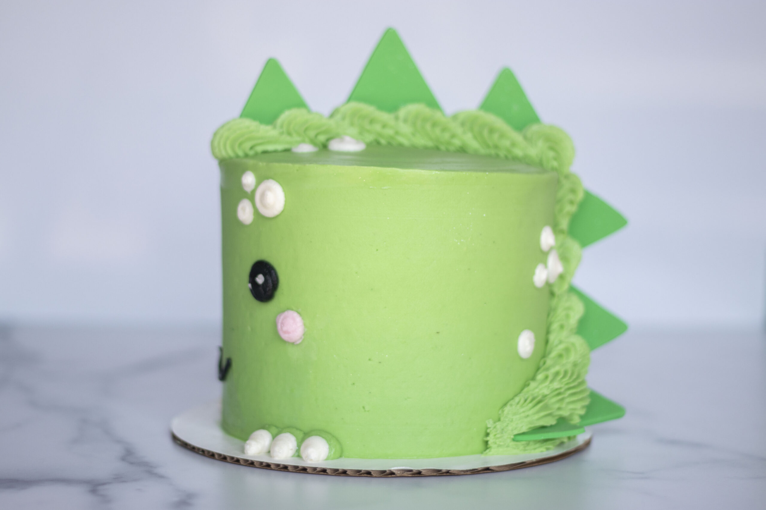 OMC_DinosaurCake_08242022_3