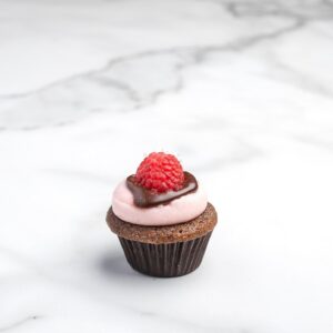 Randy's Chocolate Razz - Mini