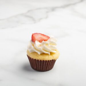 Strawberry Shortcake - Mini