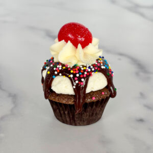 Caramel Hot Fudge Sundae - Mini